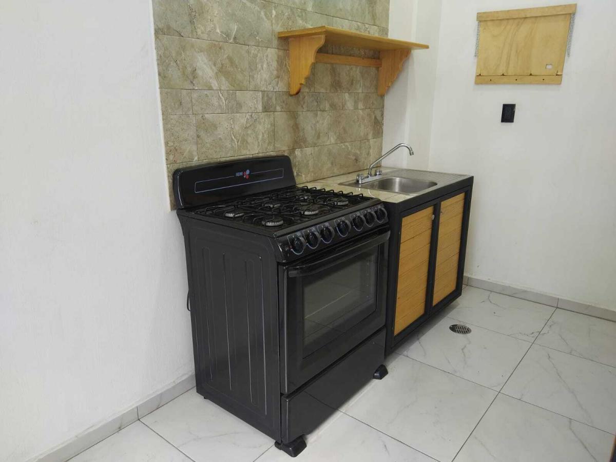 Departamento en Renta en San Lorenzo Tepaltitlán Centro Toluca Estado de Mexico (3)