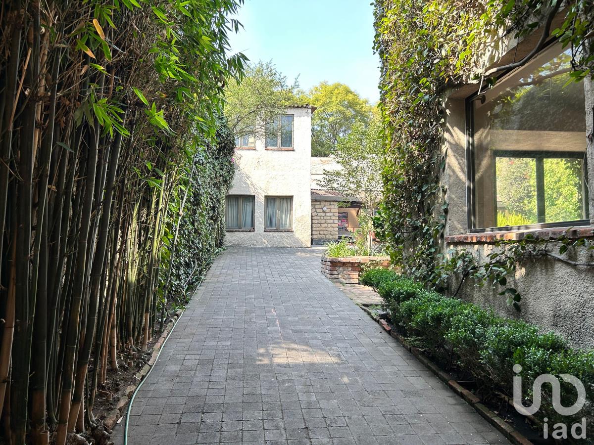 Residencia en Renta en Lomas de Chapultepec I Sección Miguel Hidalgo CDMX (10)