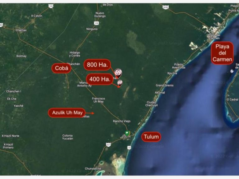 Terreno en Venta 1200 Has en Tulum Centro Quintana Roo