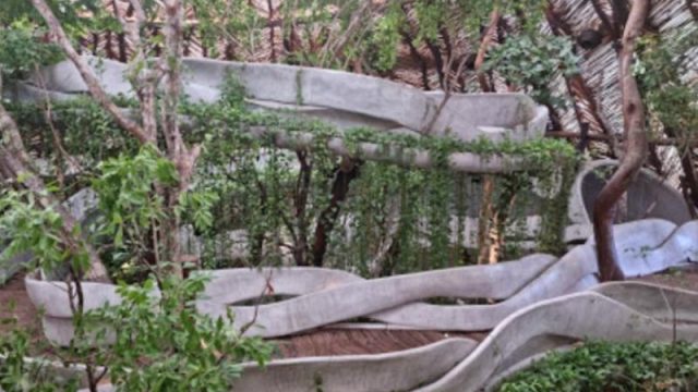 Terreno en Venta 1200 Has en Tulum Centro Quintana Roo (3)