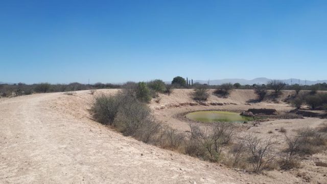 Terreno en Venta 150,000 M2 en Rinconada San Luis Potosi (2)
