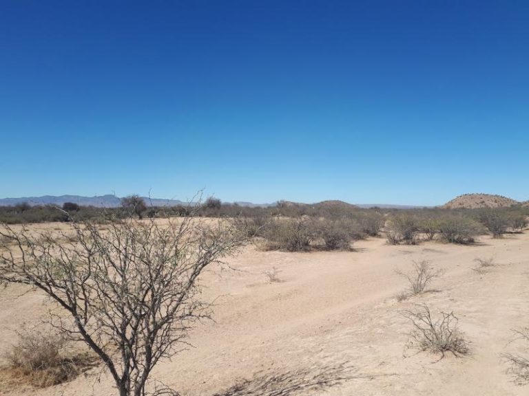 Terreno en Venta 15 Has M2 en Rinconada San Luis Potosi