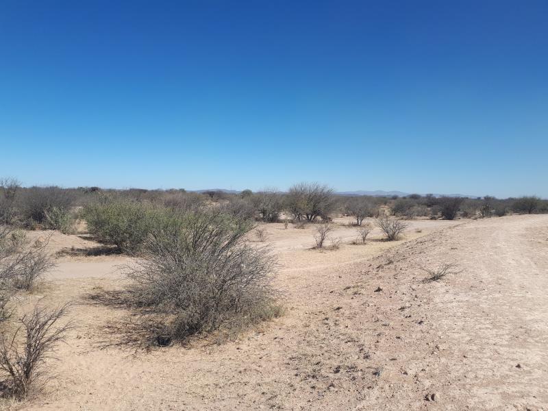 Terreno en Venta 150,000 M2 en Rinconada San Luis Potosi (5)
