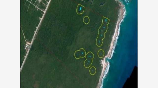 Terreno en Venta 217 Hectareas en Ya Ax Tulum Quintana Roo (1)