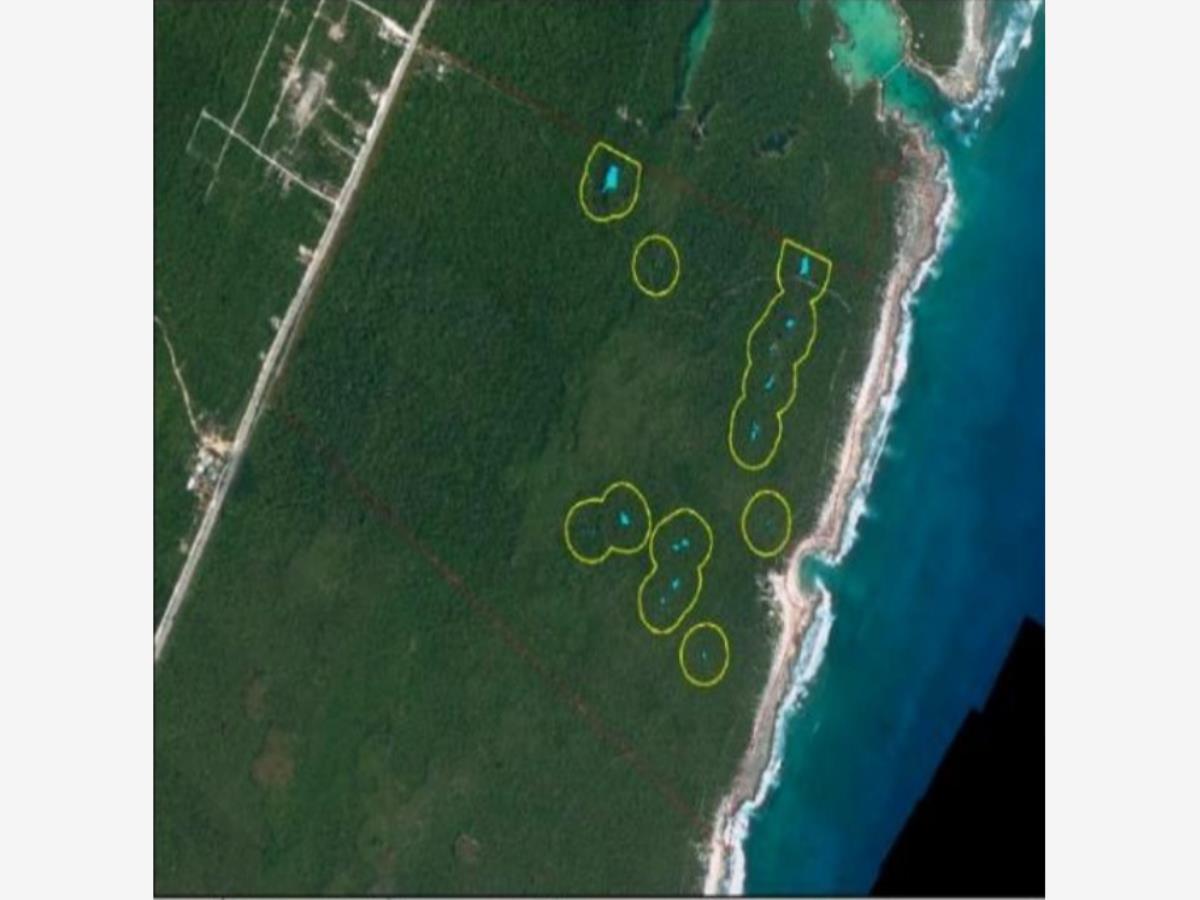 Terreno en Venta 217 Hectareas en Ya Ax Tulum Quintana Roo (1)