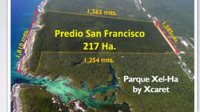 Terreno en Venta 217 Hectareas en Ya Ax Tulum Quintana Roo (2)