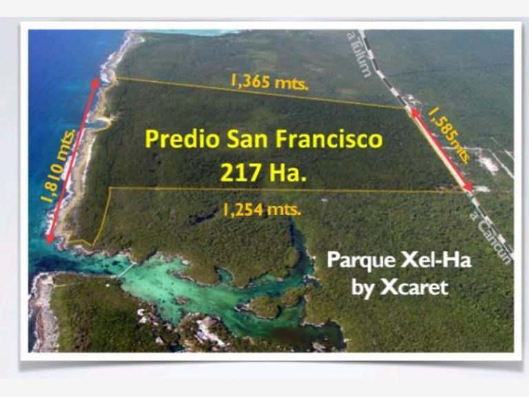 Terreno en Venta 217 Hectareas en Ya Ax Tulum Quintana Roo