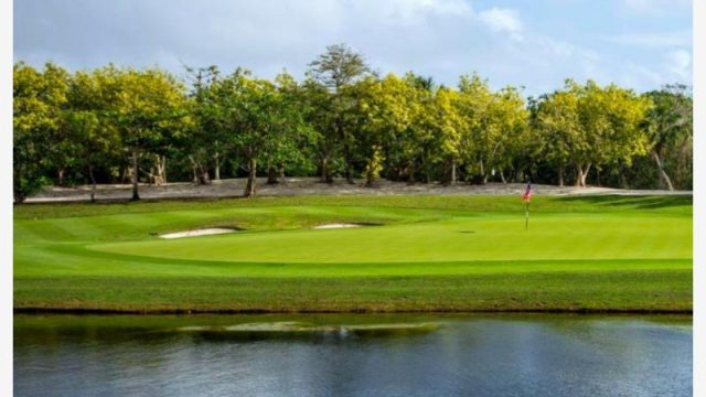 Terreno en Venta Sup 17 Hectareas en Playa del Carmen Centro Solidaridad Quintana Roo (7)