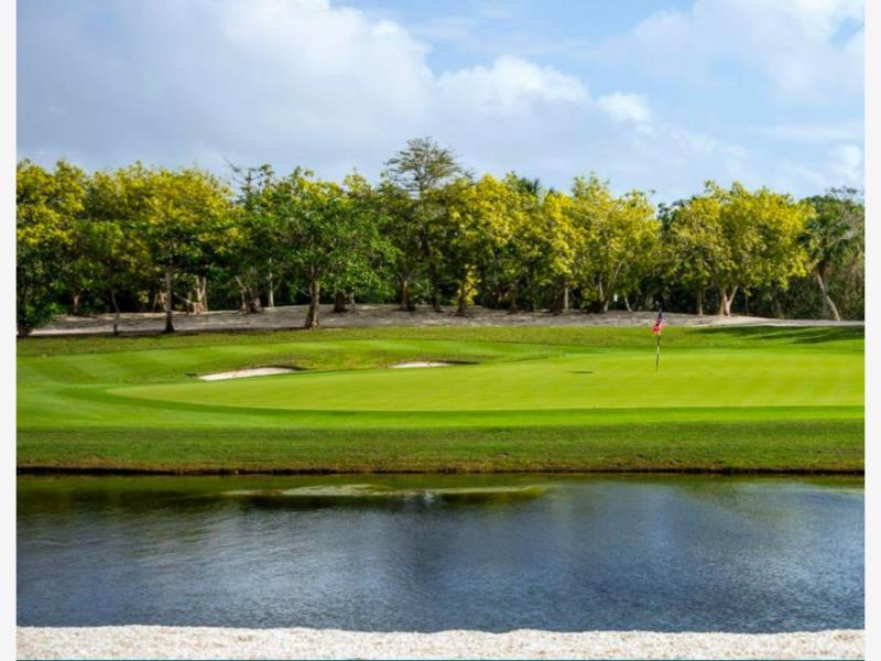 Terreno en Venta Sup 17 Hectareas en Playa del Carmen Centro Solidaridad Quintana Roo (7)