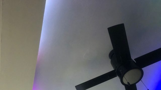 0b185153 ef8a 444b bafa c8a29bc8d376