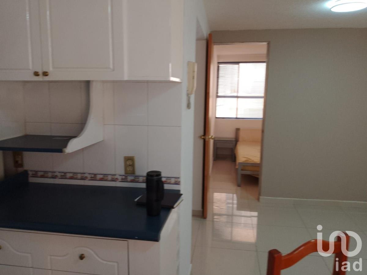 Departamento en Renta en Álamos Benito Juarez CDMX (6)