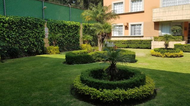Departamento en Renta en La Noria Xochimilco CDMX (7)