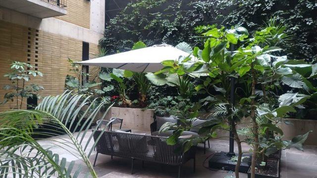 Departamento en Renta en San Jose Insurgentes Benito Juarez CDMX (5)