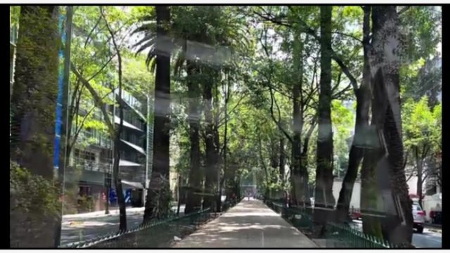 Departamento en Venta en la Condesa Cuauhtemoc CDMX (8)