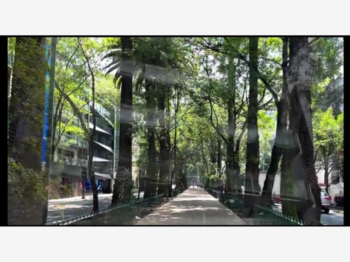Departamento en Venta en la Condesa Cuauhtemoc CDMX (8)