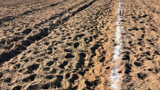 078c6cf7 a92e 4aab 8362 333fe169c92f 1