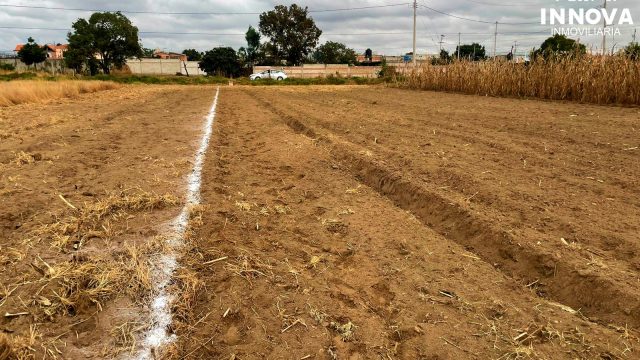 1e084d40 e8fe 4bb2 8539 1675de1281cb 1