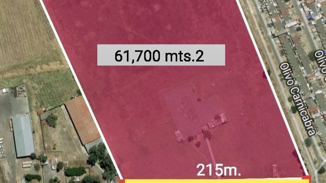 20230512 074600943 iOS