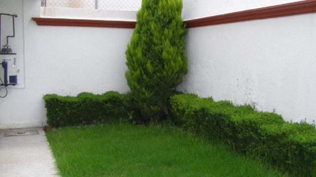 Casa en Renta en Monte Blanco III Queretaro 6