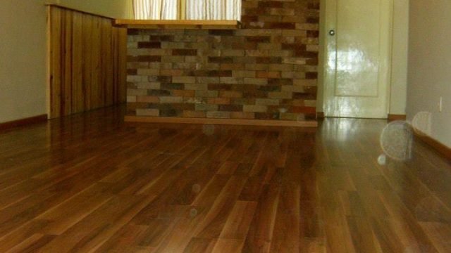 Foto de V A N E S S A5