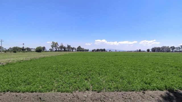 Terreno en Venta en La Aldea Silao de la Victoria Guanajuato 5