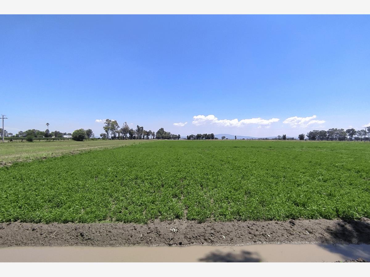 Terreno en Venta en La Aldea Silao de la Victoria Guanajuato 5