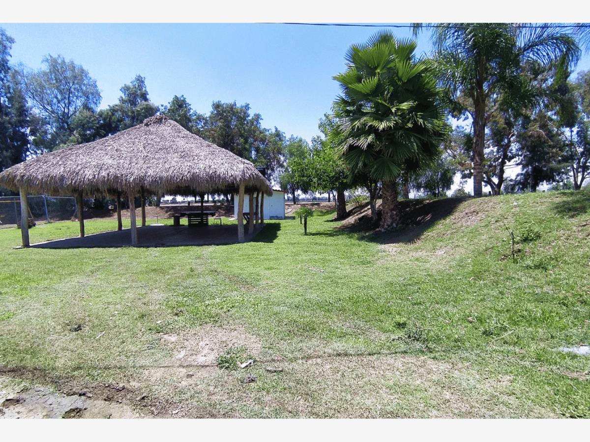 Terreno en Venta en La Aldea Silao de la Victoria Guanajuato 6