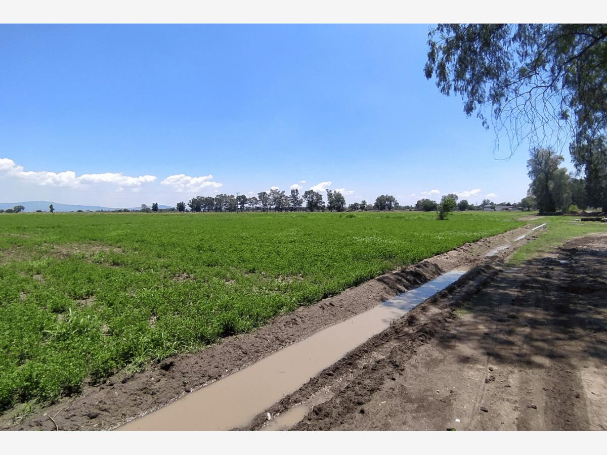 Terreno en Venta en La Aldea Silao de la Victoria Guanajuato 7