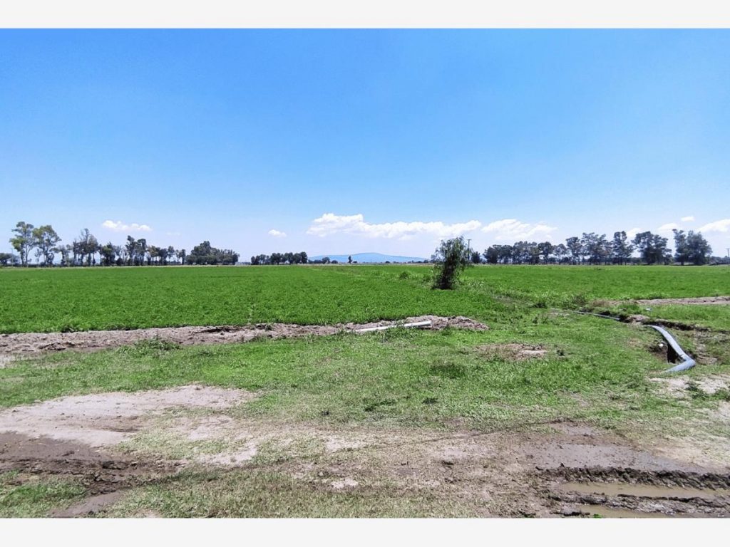 Terreno en Venta en La Aldea Silao de la Victoria Guanajuato 8