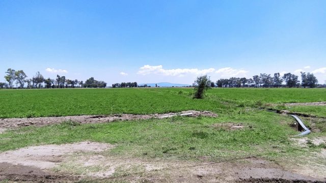 Terreno en Venta en La Aldea Silao de la Victoria Guanajuato 8