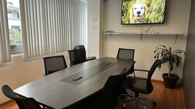 WhatsApp Image 2024 01 04 at 13.48.05 1 1 1