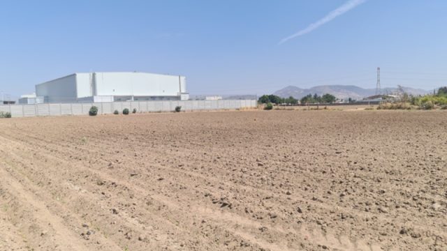 WhatsApp Image 2024 01 08 at 8.36.40 PM