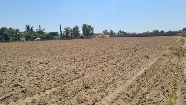 WhatsApp Image 2024 01 08 at 8.36.41 PM