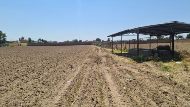 WhatsApp Image 2024 01 08 at 8.36.43 PM 1