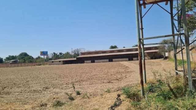 WhatsApp Image 2024 01 08 at 8.36.43 PM 2