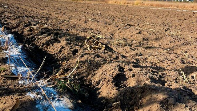 d2687a6a c668 4848 a65b 5f980ce3fc2a 1