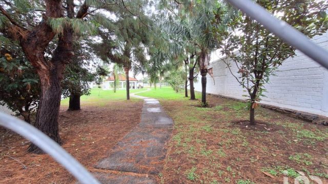 Casa en Renta en Nuevo Mexico Zapopan Jalisco 3