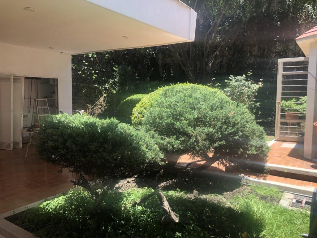 Casa en Renta en Olivar de los Padres Alvaro Obregon CDMX 1