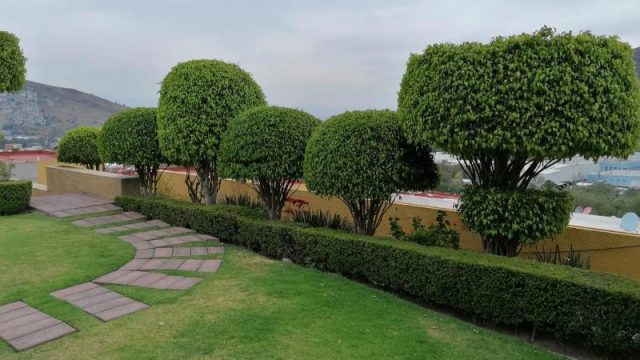 Casa en Renta en La Presa Tlanepantla de Baz EdoMex 3
