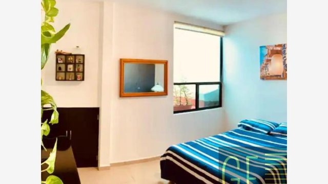 Departamento en Renta en Loma Dorada Quueretaro Qro 2