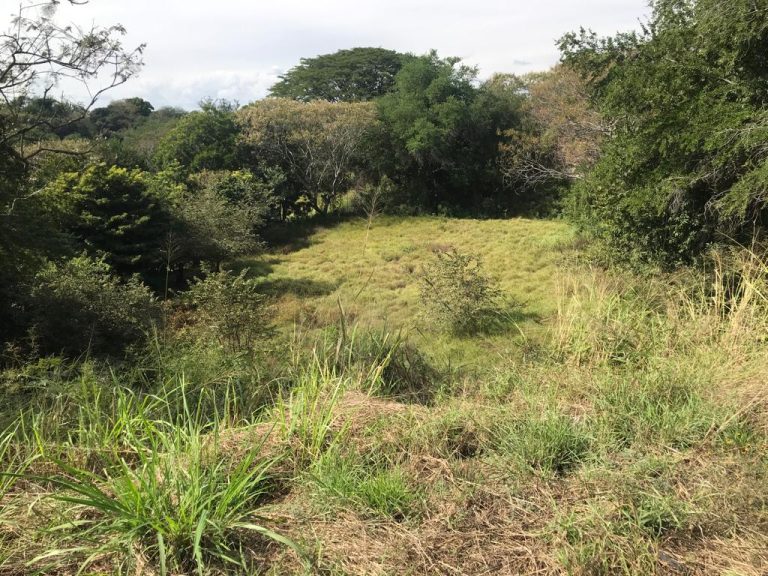 10 lotes escriturados en Santa Fe, Xochitepec; Morelos