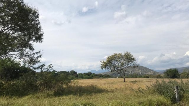 IMG 20231204 WA0008
