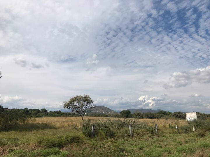 IMG 20231204 WA0015