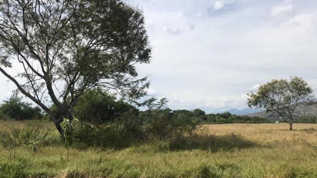 IMG 20231204 WA0016
