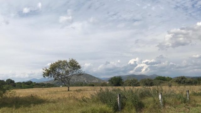 IMG 20231204 WA0017
