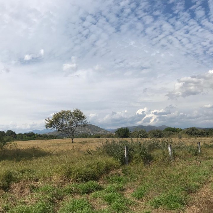 IMG 20231204 WA0017