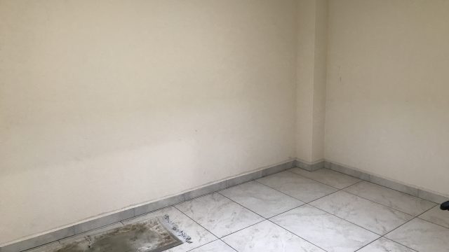 IMG 2254