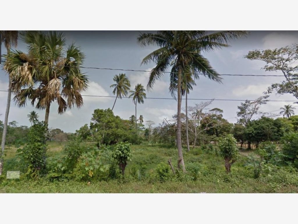 Terreno en Renta 11242 M2 en Frontera Centro Villahermosa Tabasco 3