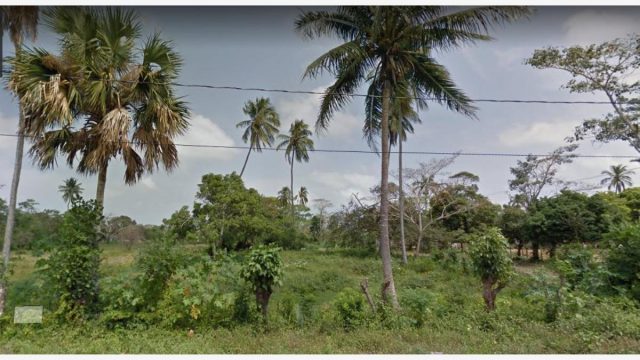 Terreno en Renta 11242 M2 en Frontera Centro Villahermosa Tabasco 3