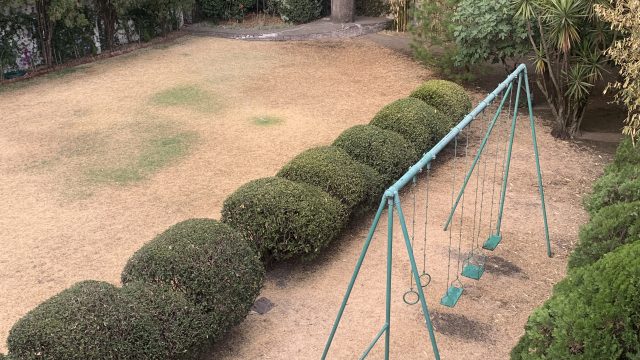 PLEAMARES JARDIN 7